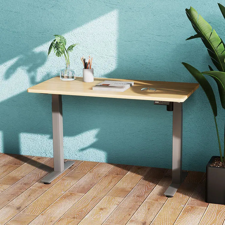 Furniture Home Standing Desks Ergonomic Design Healthy Computer Tables Electric Height Adjustable Desk